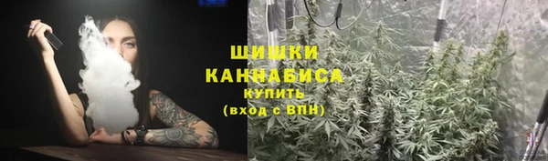 дурь Бородино