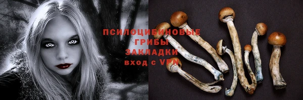 круглые Семёнов