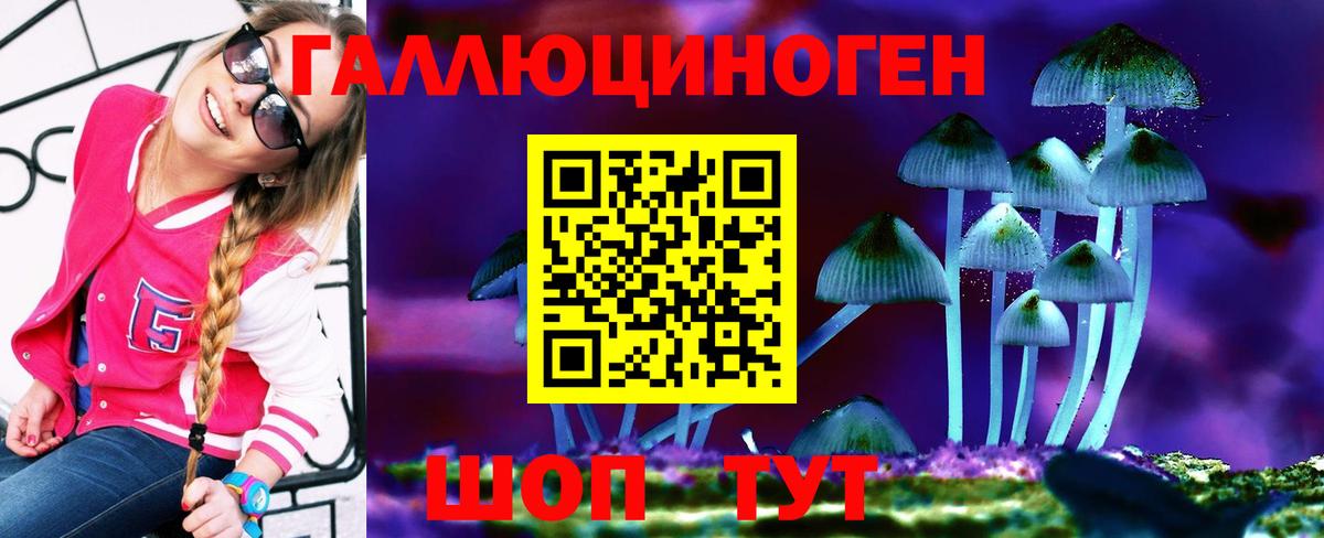 Галлюциногенные грибы прущие грибы Черемхово